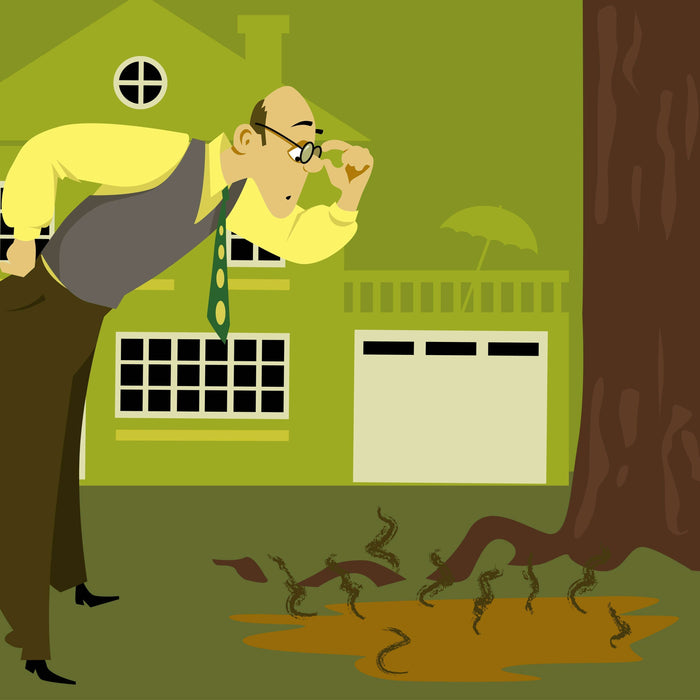 Should I Buy a Home with a Failed Septic System? | Insights from Wholesale Septic Supply