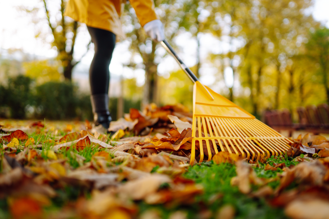 Fall Landscaping Tips for Better Septic Tank Health