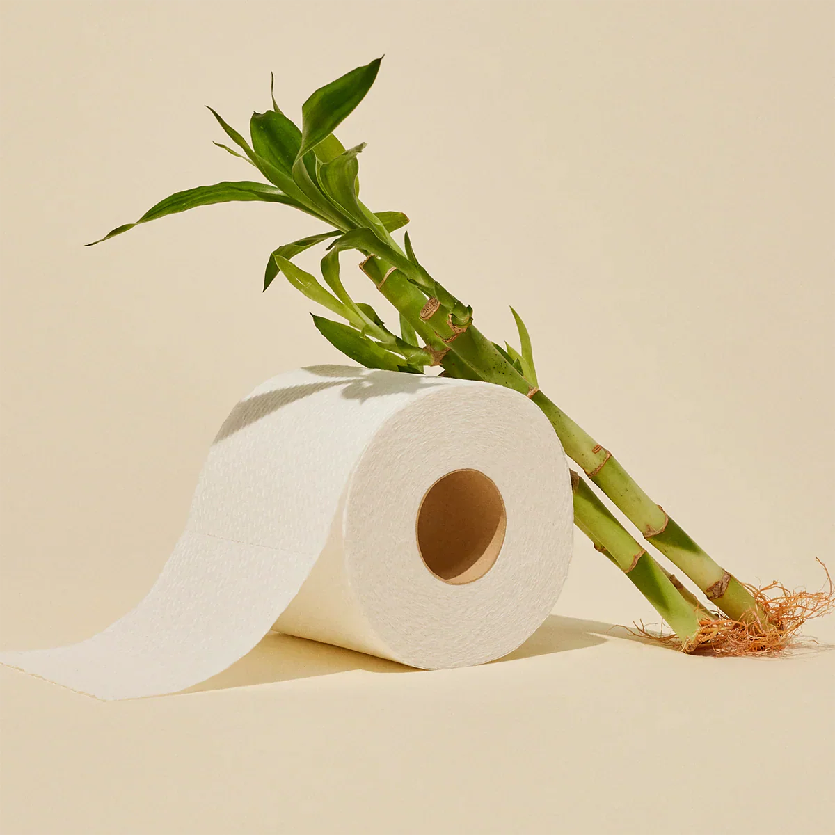 Is Bamboo Toilet Paper Septic Safe?